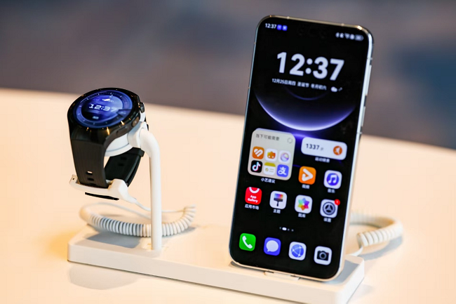 1766716319795645.png 图片 3.png