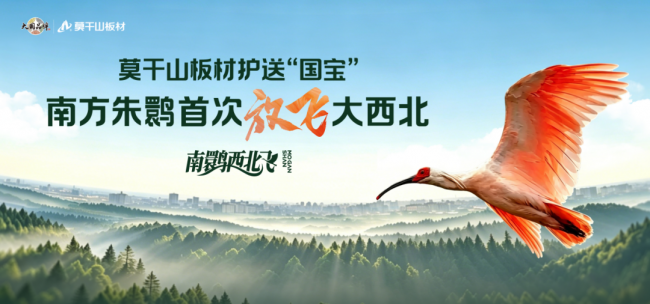 极致环保，守护每一口呼吸，莫干山板材助力朱鹮重现西北天空