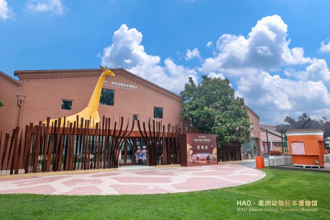 非洲动物标本博物馆在京正式开馆 端午假期京城再添文旅打卡新地标
