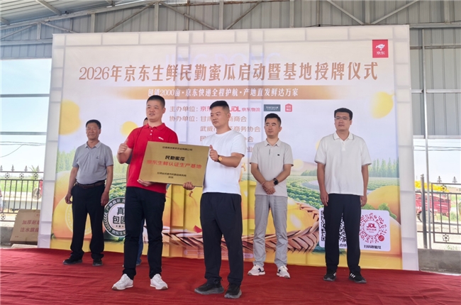 这届年轻人流行去沙漠“云养瓜”了：60箱蜜瓜直送到家，还送一棵梭梭树